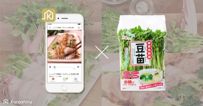 日本最大のレシピ動画サービス「クラシル」、レシピ動画の配信で 豆苗の出荷量が前年比160%に。豆苗ブームを牽引
