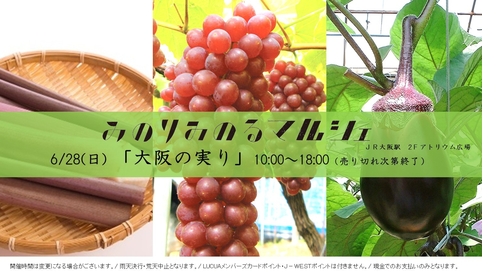 JA全農×JR西日本 地域振興プロジェクト JR大阪駅で大阪の旬が集結 「みのりみのるマルシェ 大阪の実り」開催(6/28)