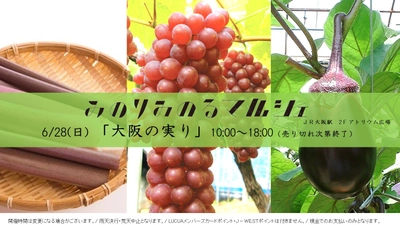 JA全農×JR西日本　地域振興プロジェクト　JR大阪駅で大阪の旬が集結　「みのりみのるマルシェ　大阪の実り」開催（6/28）