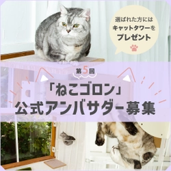 窓枠につけるキャットタワー！Instagramにて『ねこゴロン』 第5回公式アンバサダーを11月1日から11月10日まで募集