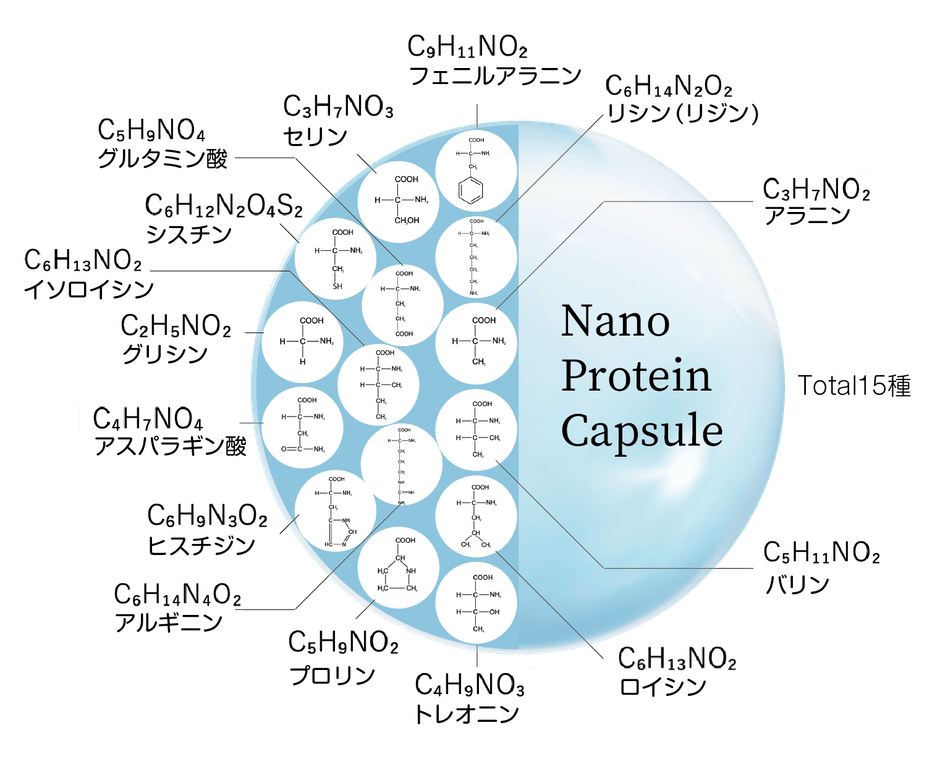 ナノプロテインカプセルイメージ