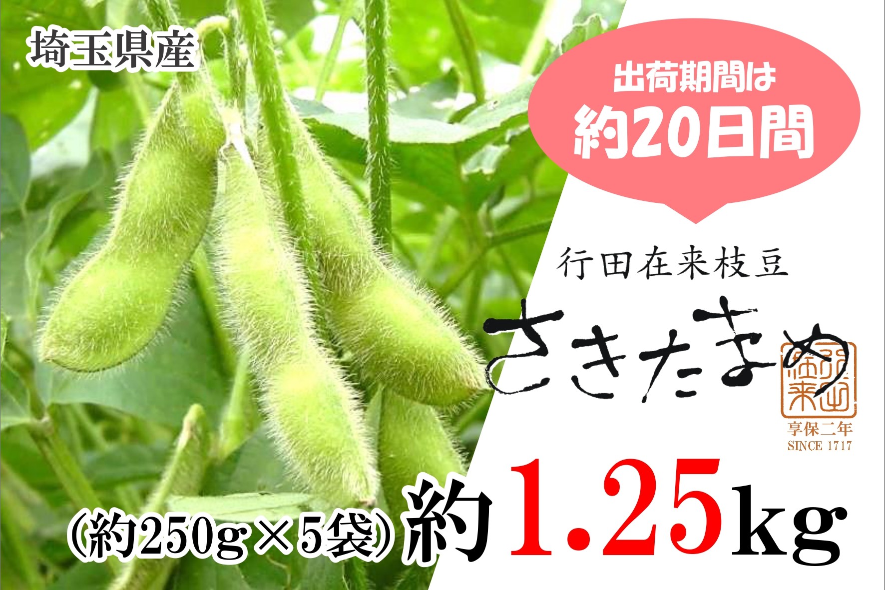 朝どりの埼玉県産枝豆「さきたまめ」を産地直送通販サイト「JAタウン」で予約販売開始
