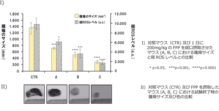 【図2】対照マウス(コントロール)および FPPを毎日摂取したマウス（FPP摂取開始から21日後 (A)、14日後(B)、3日後(C)にメラノーマを移植）との比較