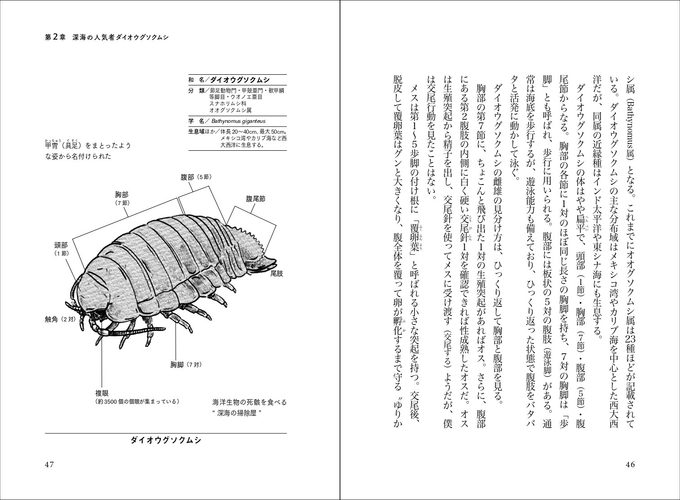 ダイオウグソクムシ