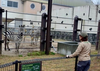 周南市徳山動物園「獣医さんと一緒に全力見回り体験」開催