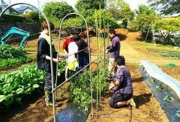 5月11日(金)生徒たちによる農作業