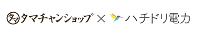 タマチャンショップ×ハチドリ電力