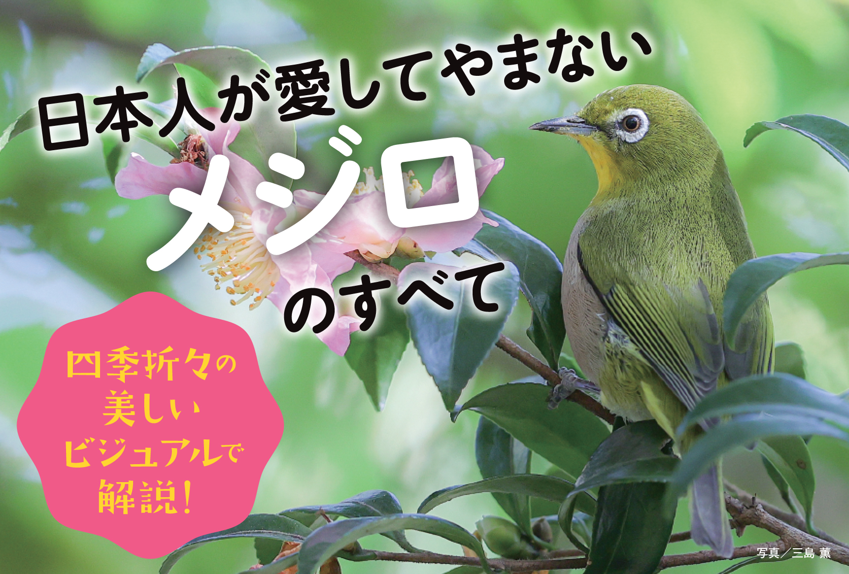 日本人が愛してきた野鳥、メジロの世界を大解剖！『にっぽんのメジロ