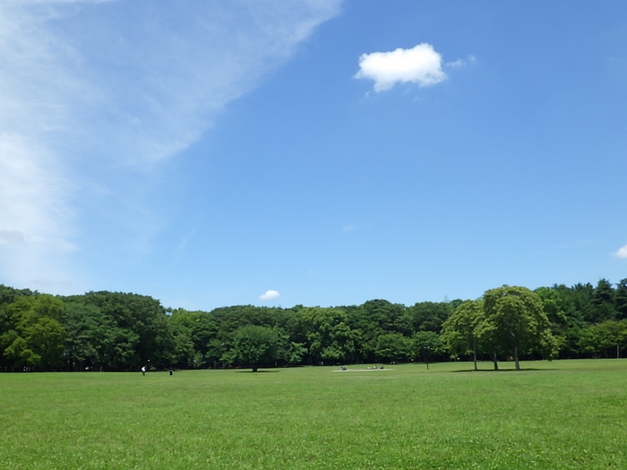 小金井公園