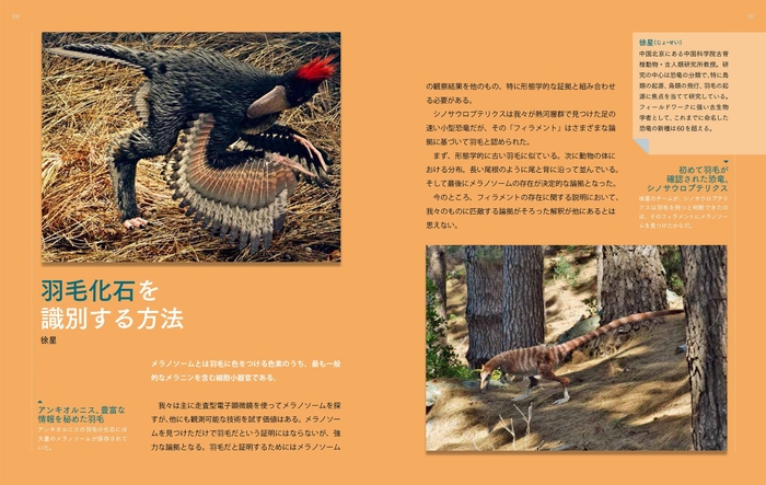 スーパービジュアル再現 羽毛恐竜と巨大昆虫 7つの謎で解き明かす太古の世界