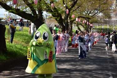 福生市にて「第41回ふっさ桜まつり」が3月23日(土)から開催！ 5年ぶりとなる夜間の桜のライトアップも実施