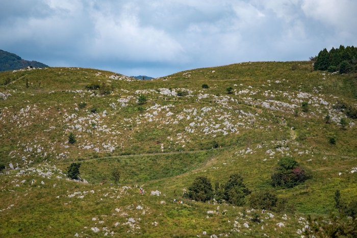 秋吉台コース風景(1)