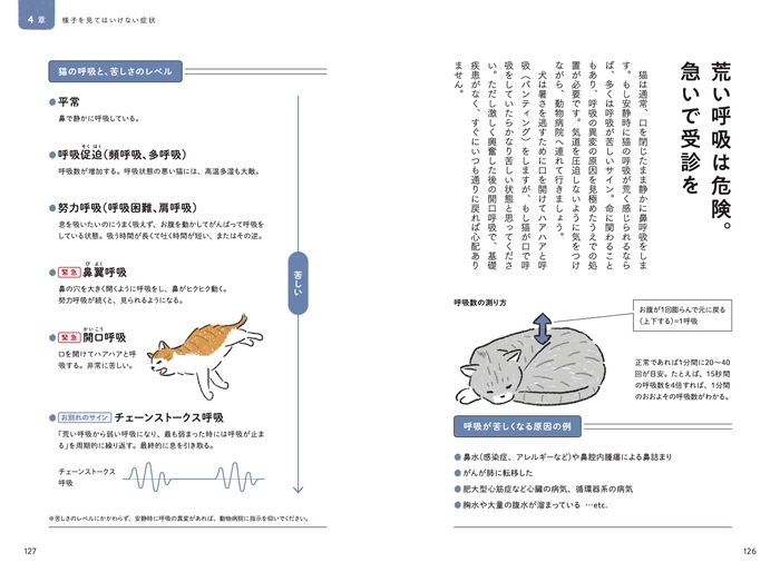 中身3