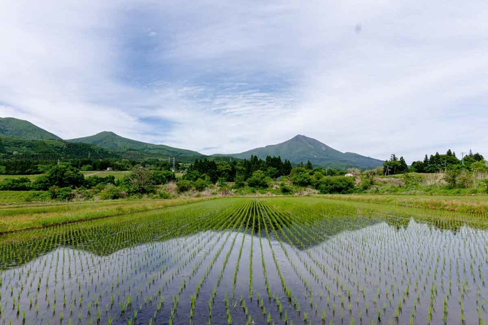 磐梯山と見渡す限りの田園風景