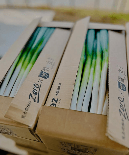 箱詰めされた新鮮な「雪の女王」