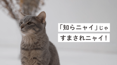 動画イメージ1