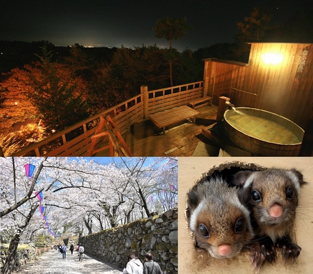 信州 小諸へヴァーチャル旅行！？ 自宅で味わう温泉、お花見、動物園