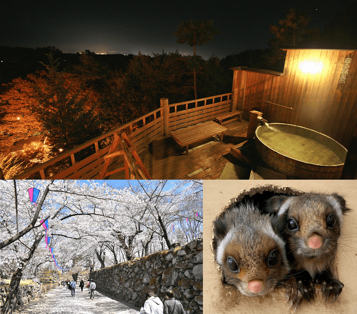 自宅でも気軽にヴァーチャル観光　小諸の温泉、お花見、動物園まで