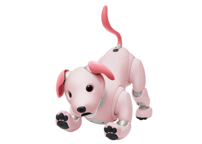 ピンクのaibo「シンちゃん」