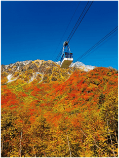 青空をバックに紅葉の絨毯が広がる