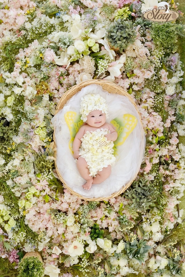 Wild Flower2