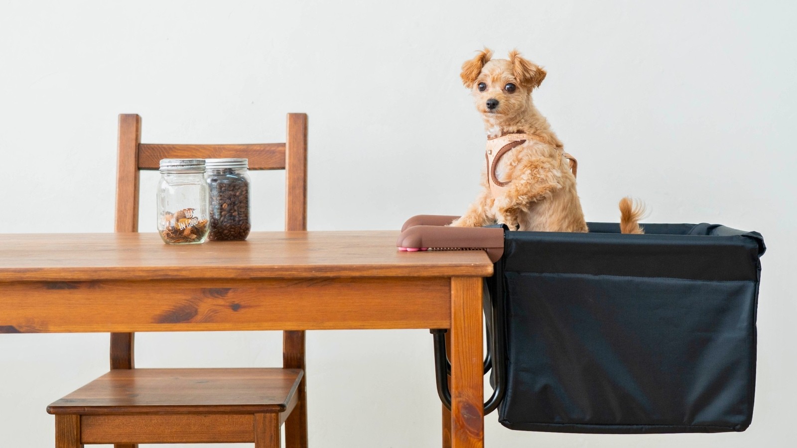 ピーナッツ・ペット 「肉球アームのペットチェア Chocorin」(ブラック)