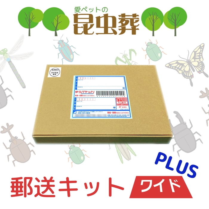 昆虫葬郵送キットワイド