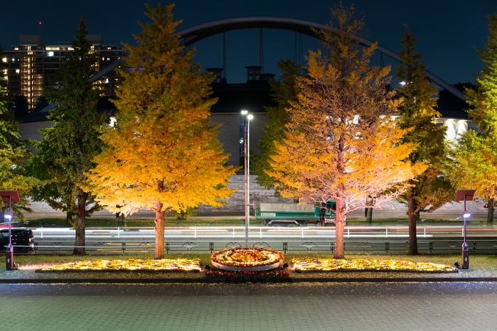 大階段下特設花壇ライトアップ