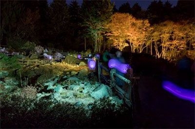 Glow with Night Garden Project in Rokko 提灯行列ランドスケープ 2017