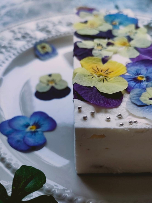 ビオラ&果物のレアチーズケーキ