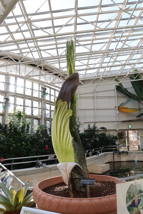 2022年12月8日撮影