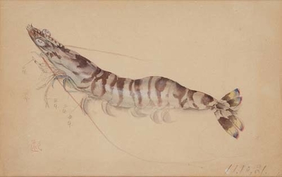 堂本印象「海老」1936年 京都府立堂本印象美術館蔵
