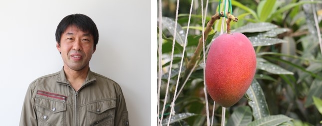 全国大学農場技術賞を受賞した技術主任 堀川勇次（左）、（右）近大マンゴー（右）