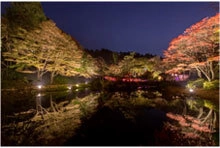 ライトアップされた紅葉とアートを楽しむ 六甲高山植物園　夜の紅葉散策 10月20日(金)～11月12日(日)開催！