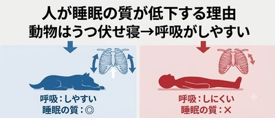 眠りづらさの正体──寝ると呼吸が弱くなる"体の構造"をやさしく解説するシリーズ第1回