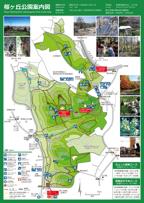 桜ヶ丘公園 案内図