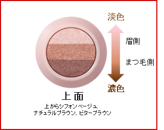 『グラデシャドウスティック(ブロッサムブラウン)』断面図