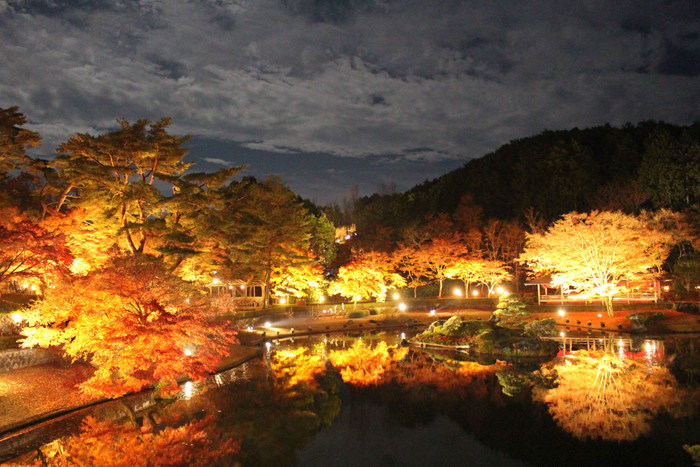 過去の「日本庭園（菖蒲ヶ池）」ライトアップの様子