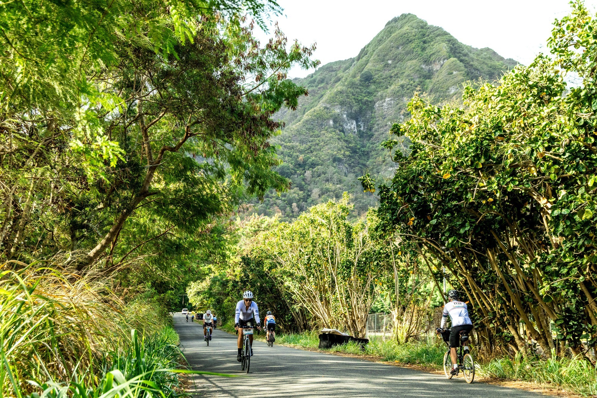 ホノルルセンチュリーライド(3)