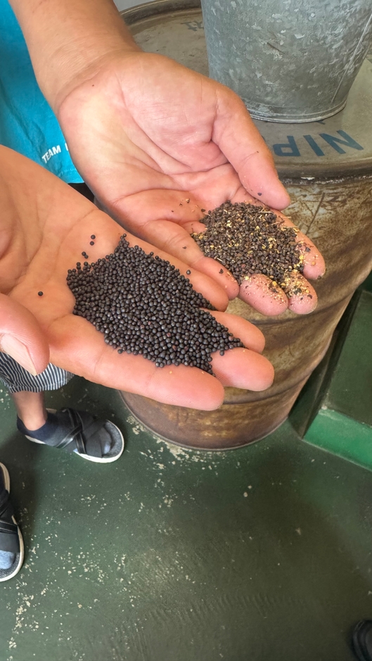 純度100％のほうろく油