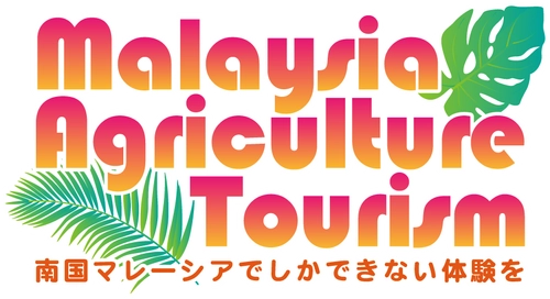 ［駐日マレーシア大使館 農務部］ 初めての日本人向けアグロツーリズムを企画・販売開始　 グルメだけではなく体験を通してマレーシアの食を楽しめるツアー