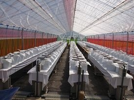 農事組合法人 島-準備の様子2