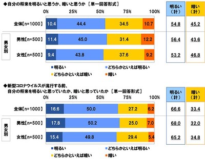 自分の将来に対する見通し