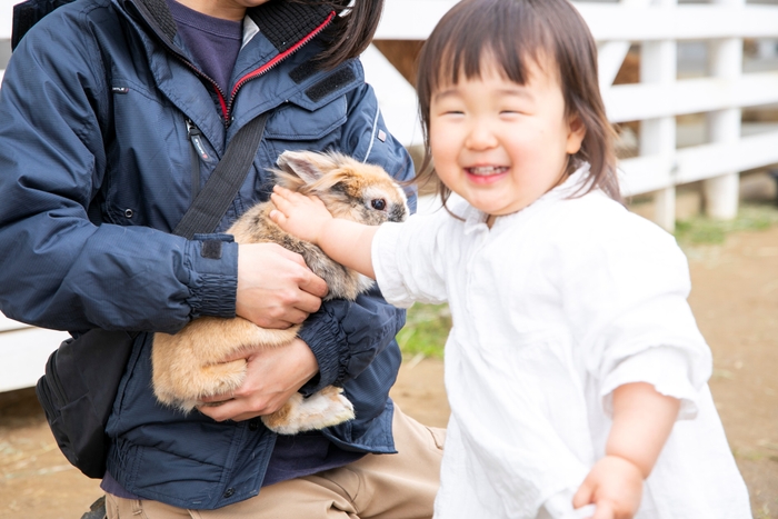 動物との触れ合い体験ができます