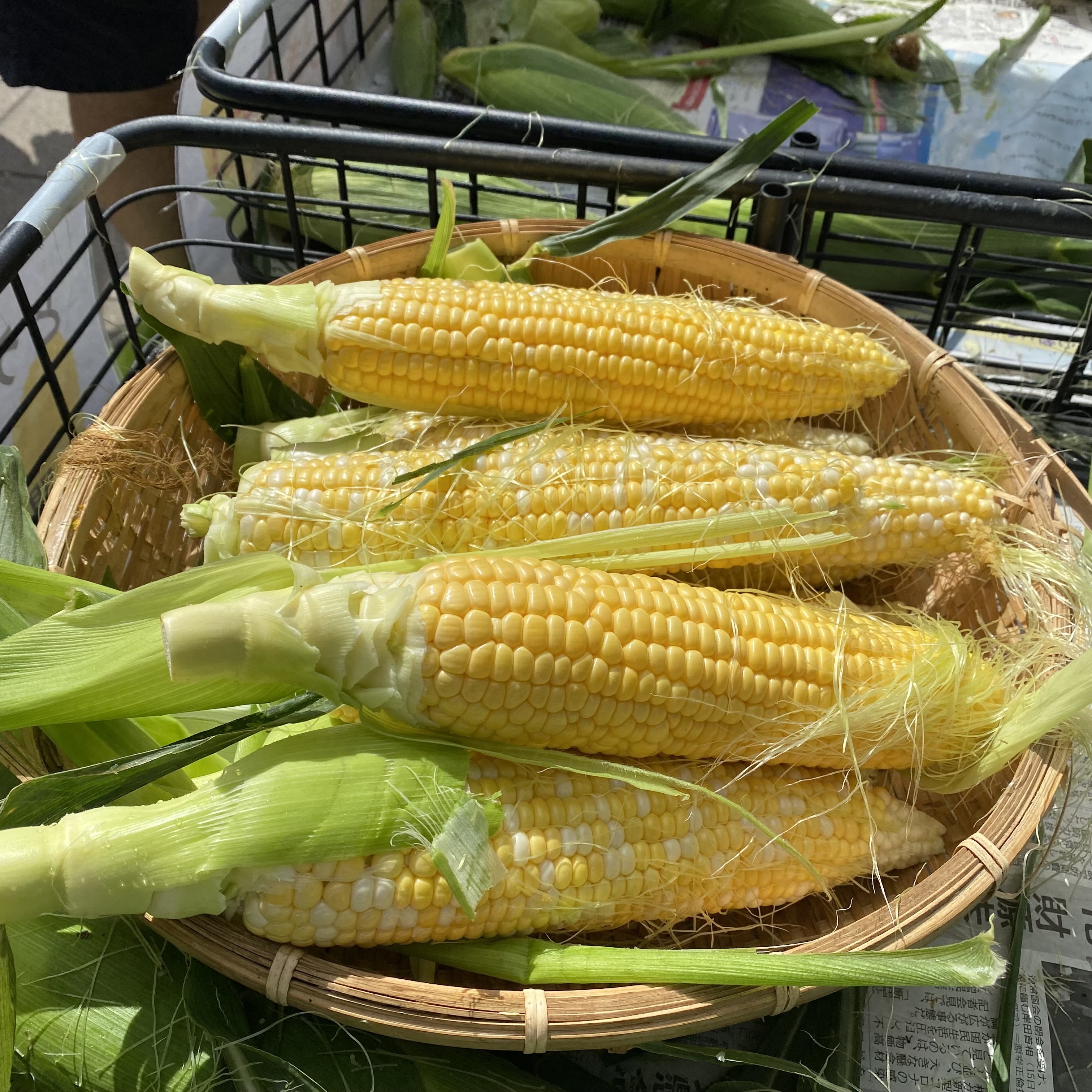 とうもろこし早むき大会(6/14(日)〜計2回)