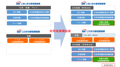 共同保険の概略図