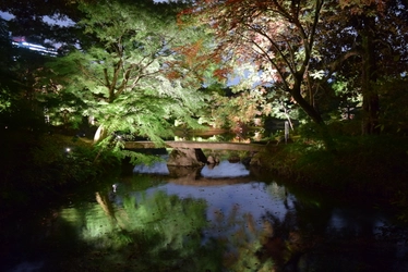 好評開催中！「庭紅葉の六義園　夜間特別観賞」3年ぶりライトアップは12月４日（日）まで