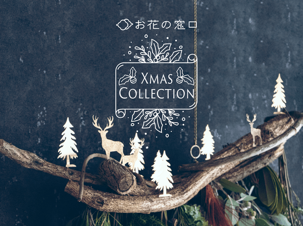 お花の窓口 2020クリスマスコレクション"ボタニカル"