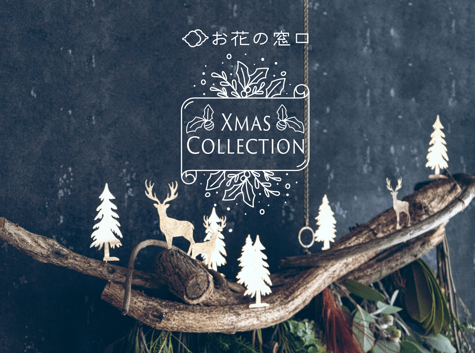 お花の窓口 2020クリスマスコレクション"ボタニカル"