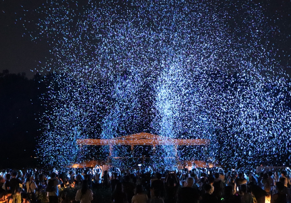 「バブルミネーション」 （令和６年７月撮影）  